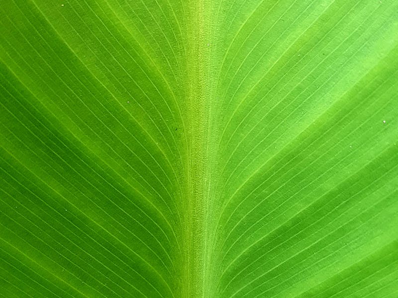 Professional salon environment